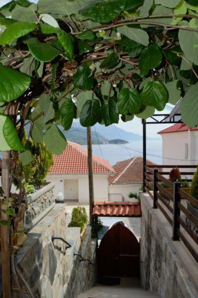 Villa Scandik Ohrid Kültér fotó