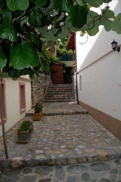 Villa Scandik Ohrid Kültér fotó
